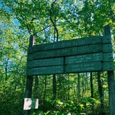 Review photo of Brassie Brook Shelter - Bear Mountain — Appalachian National Scenic Trail by Nora S., May 28, 2021