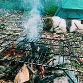 Review photo of Brassie Brook Shelter - Bear Mountain — Appalachian National Scenic Trail by Nora S., May 28, 2021