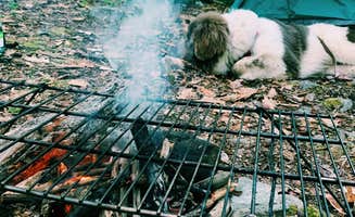Nora S.'s photo at Brassie Brook Shelter - Bear Mountain — Appalachian National Scenic Trail near Millerton, NY