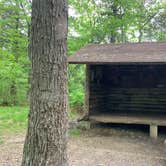 Review photo of Brassie Brook Shelter - Bear Mountain — Appalachian National Scenic Trail by Nora S., May 28, 2021