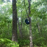 Review photo of Brassie Brook Shelter - Bear Mountain — Appalachian National Scenic Trail by Nora S., May 28, 2021