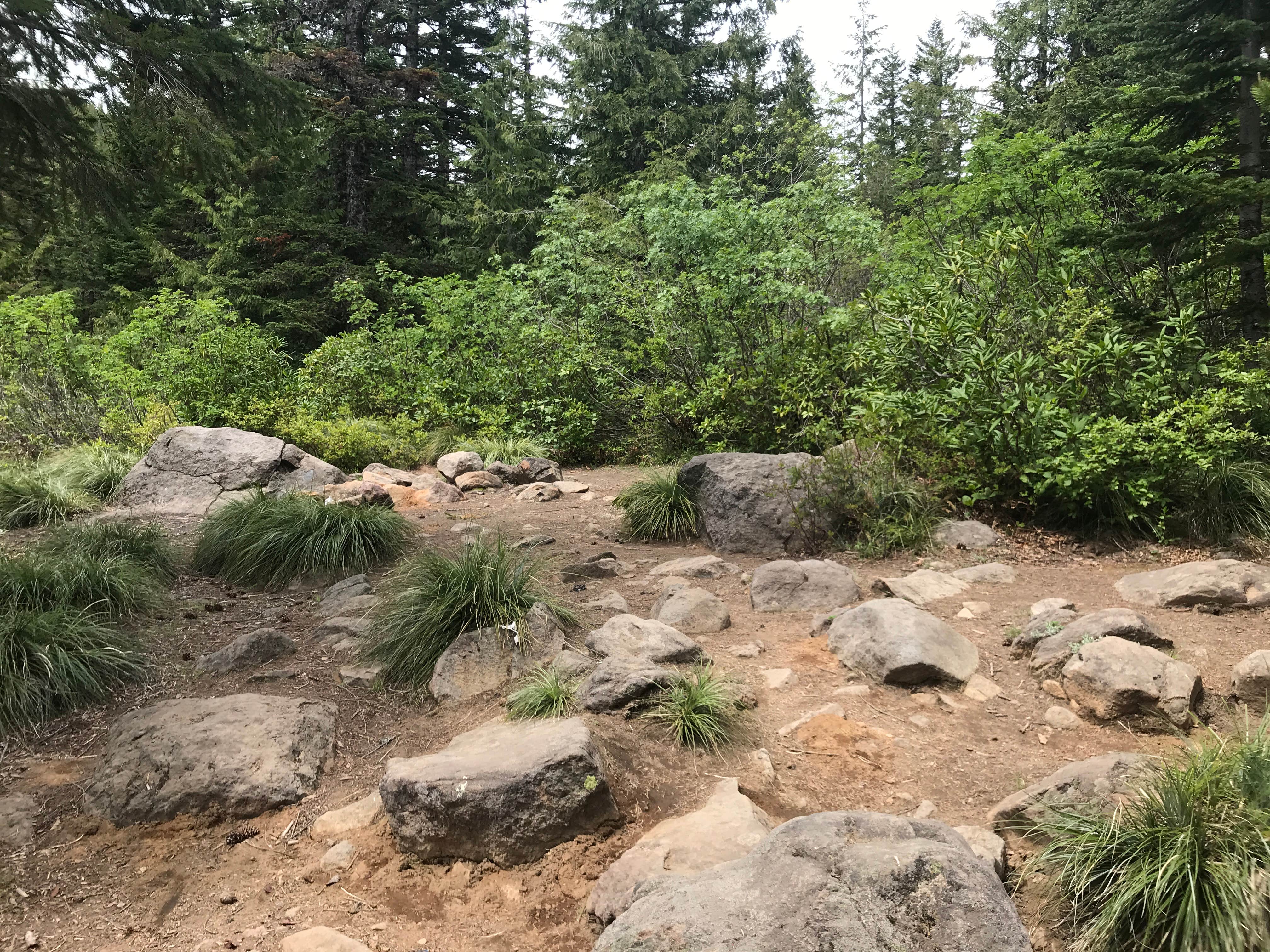 Camper-submitted photo at Mirror Lake near Mt. Hood National Forest