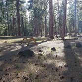 Review photo of Butte Lake Campground — Lassen Volcanic National Park by Steven H., June 5, 2018