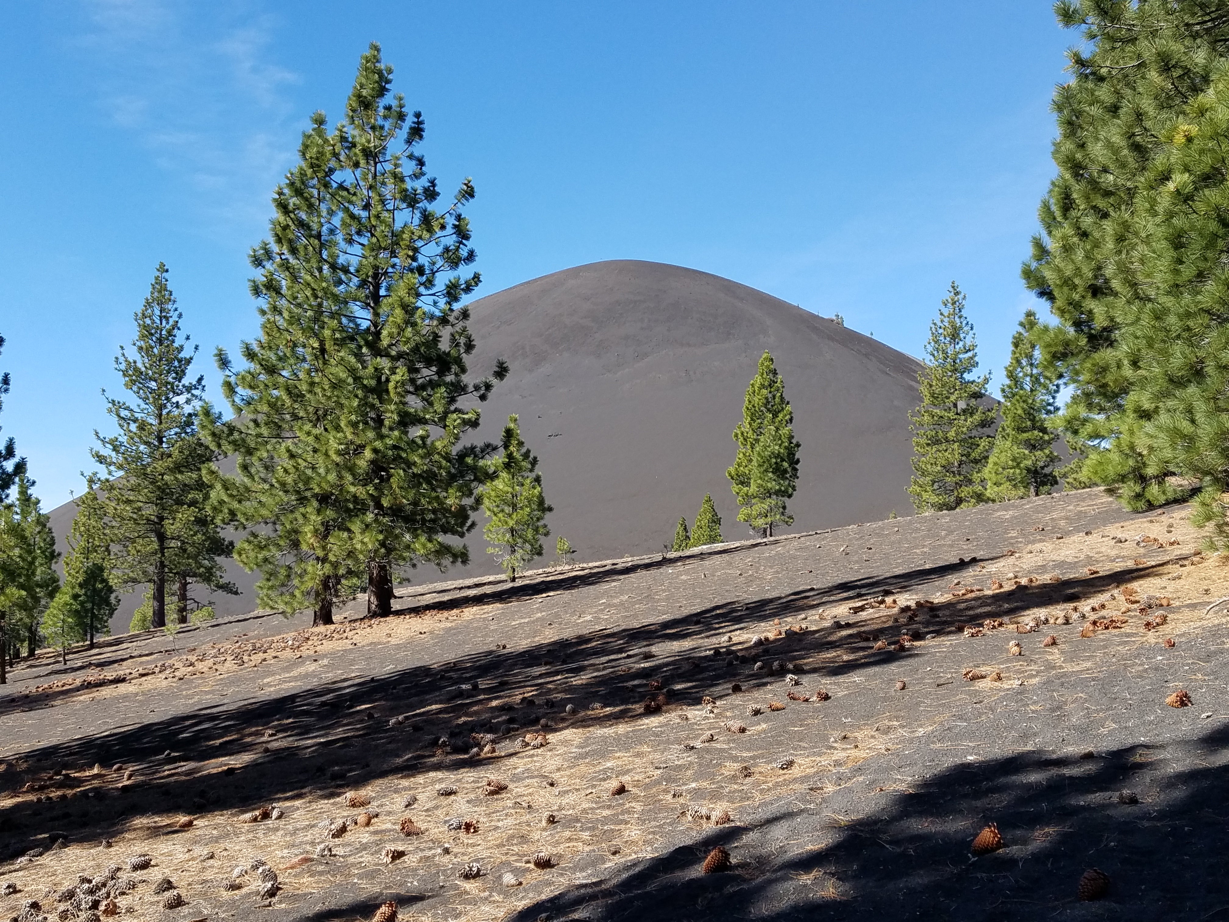 Camper submitted image from Butte Lake Campground — Lassen Volcanic National Park - 5