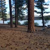 Review photo of Butte Lake Campground — Lassen Volcanic National Park by Steven H., June 5, 2018