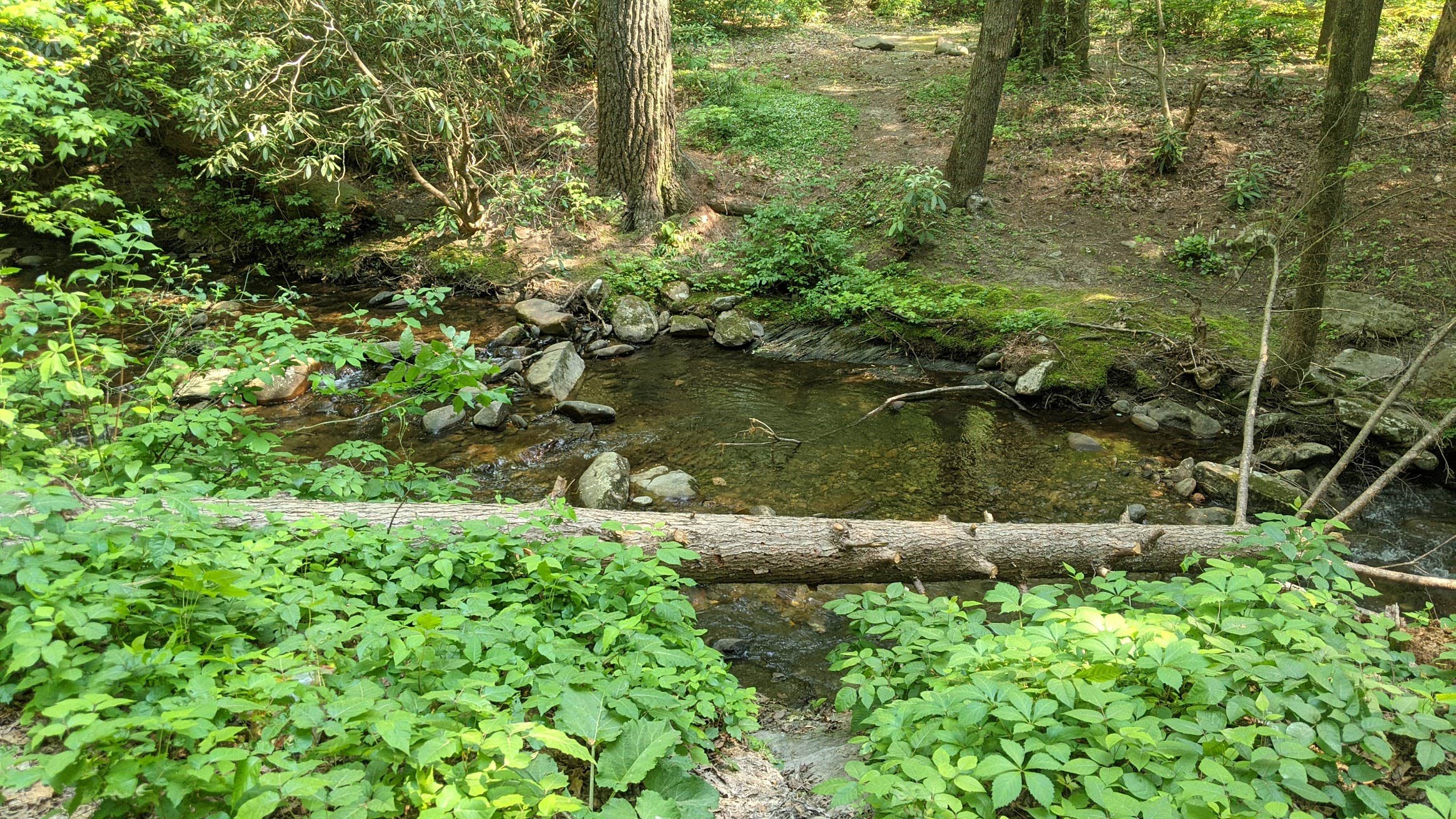 Three Forks Campground The Dyrt