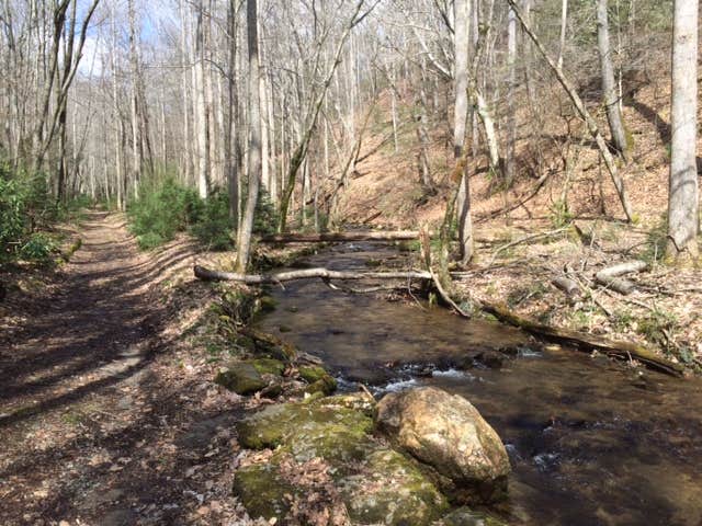 Camper submitted image from Stone Mountain State Park Campground - 5