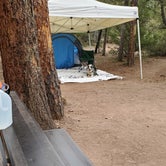 Review photo of Houston Mesa Campground by csey R., May 27, 2021