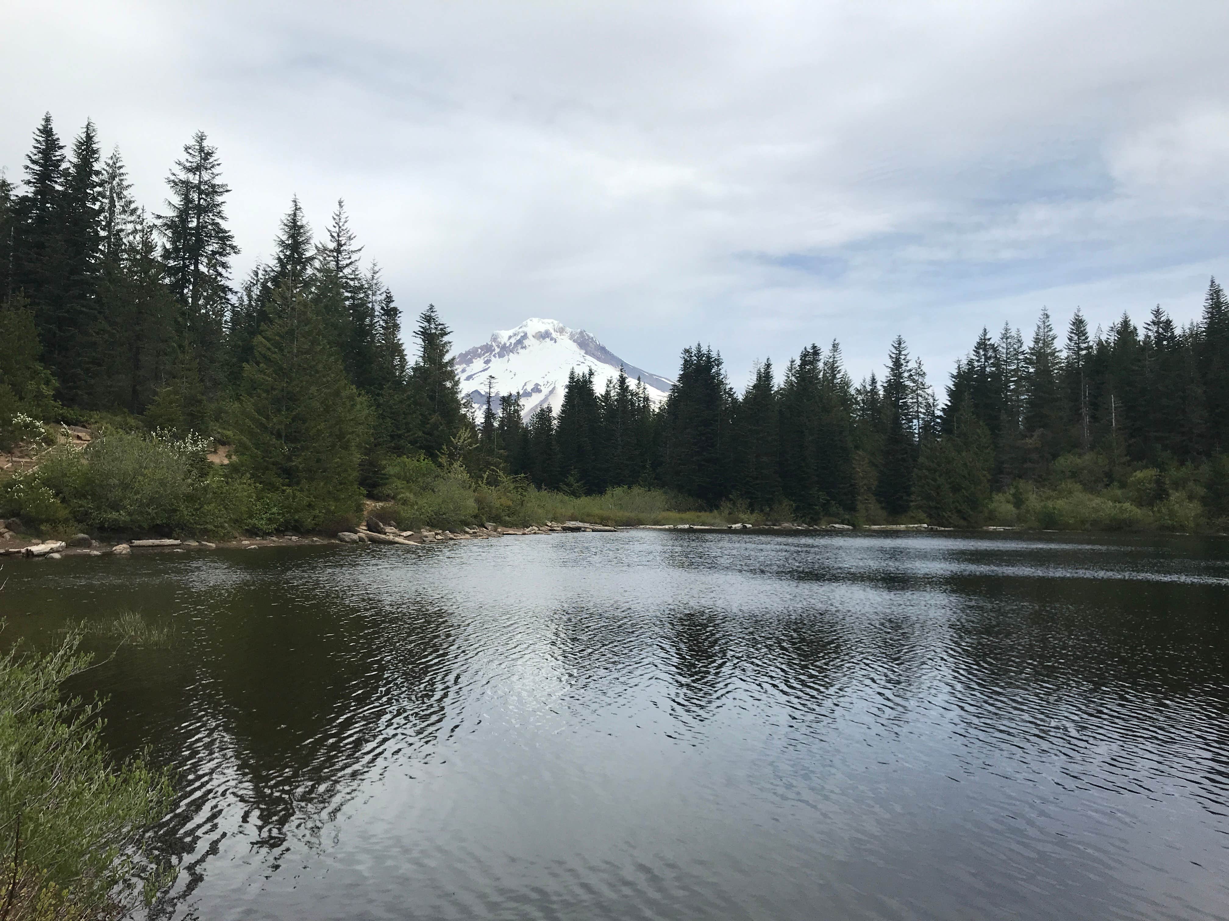 Stephanie Z.'s photo of a dispersed camping area at Mirror Lake near Mt. Hood National Forest