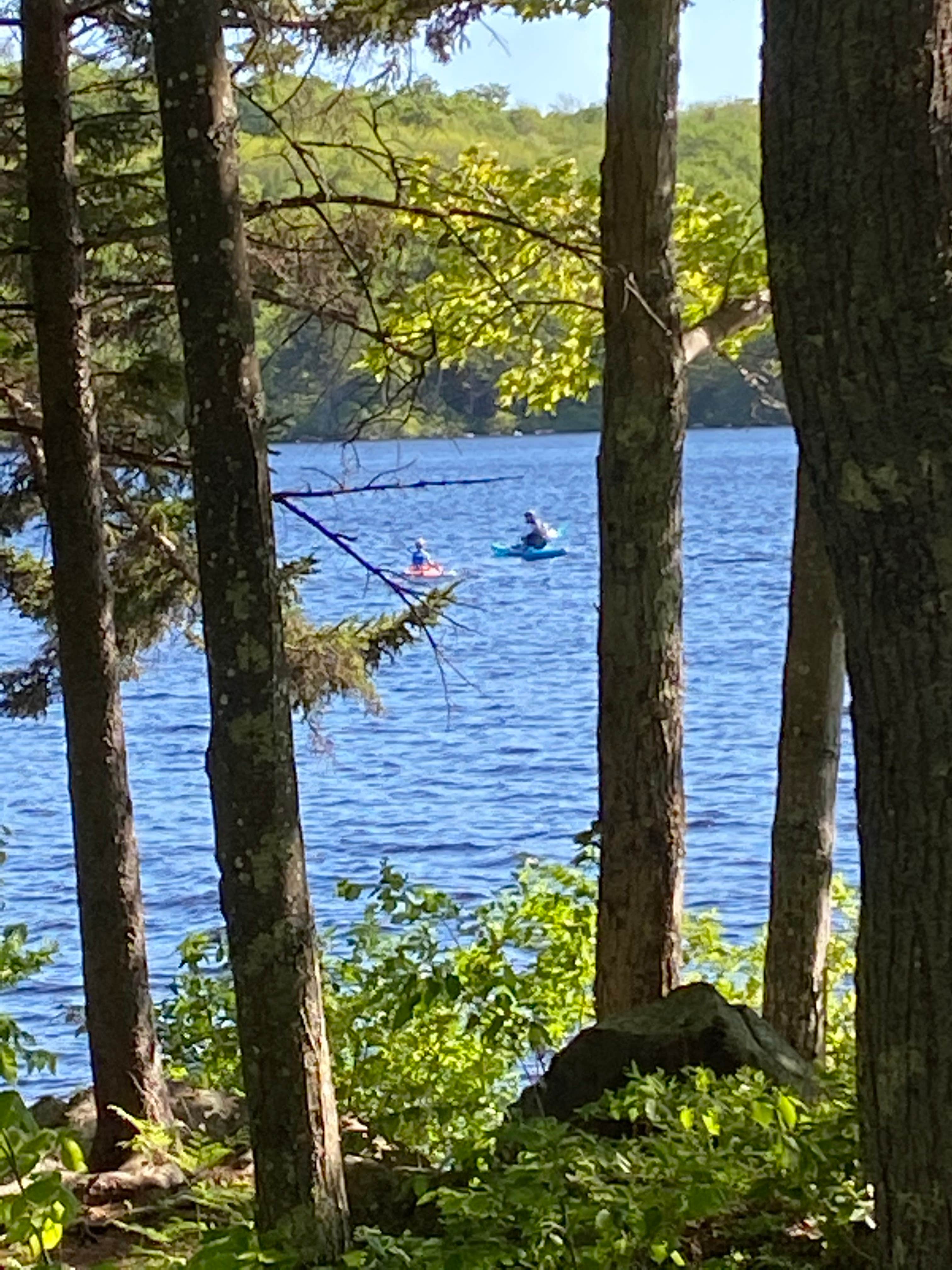 Camper submitted image from Pillsbury State Park Campground - 1