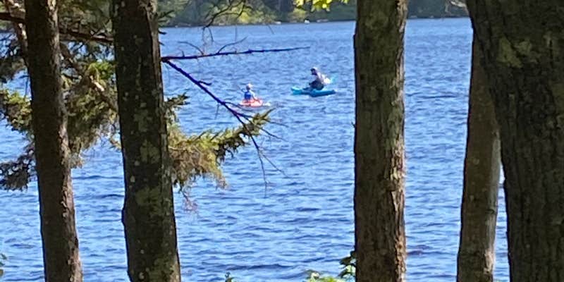 Camper submitted image from Pillsbury State Park Campground