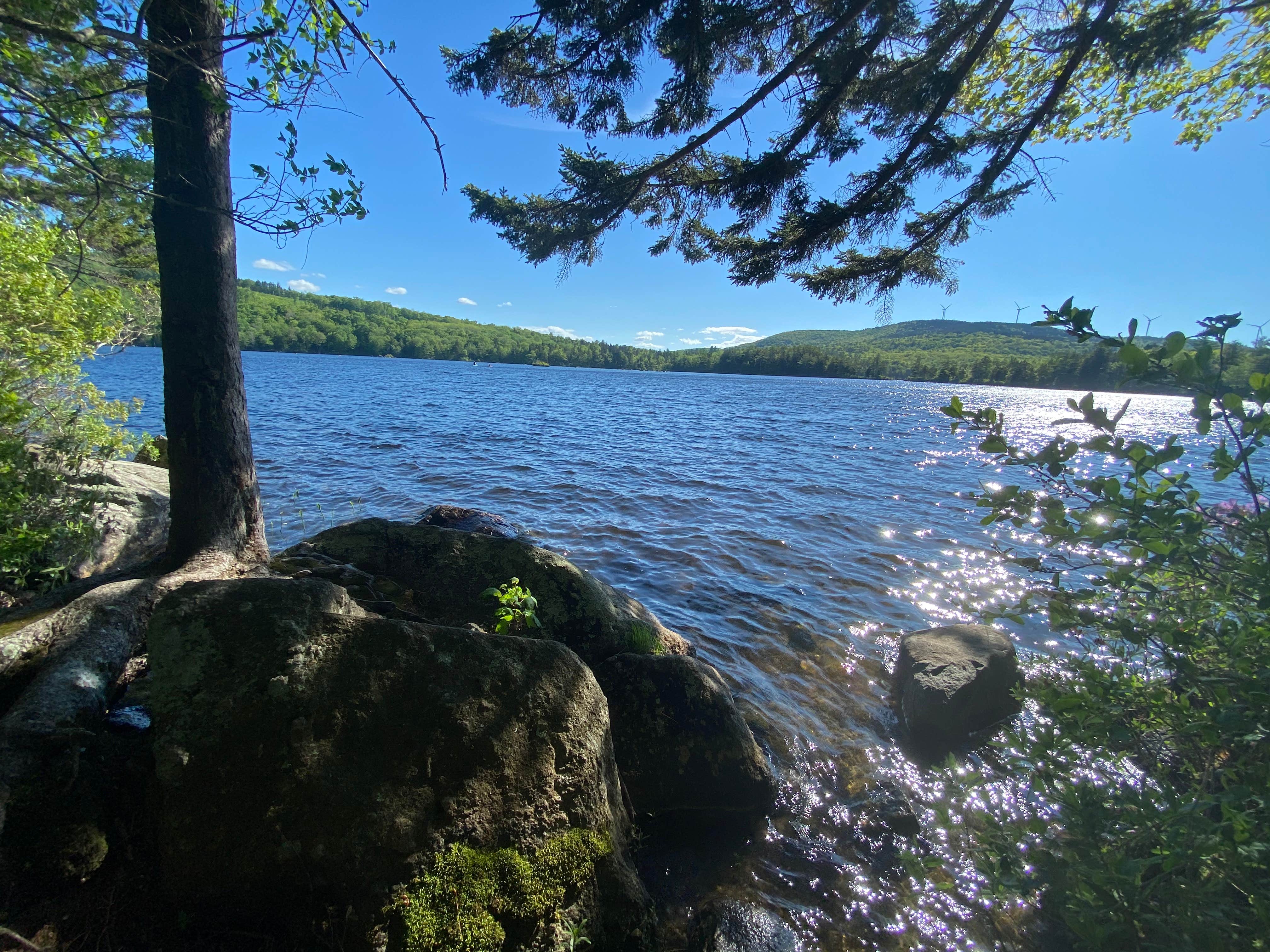 Camper submitted image from Pillsbury State Park Campground - 3