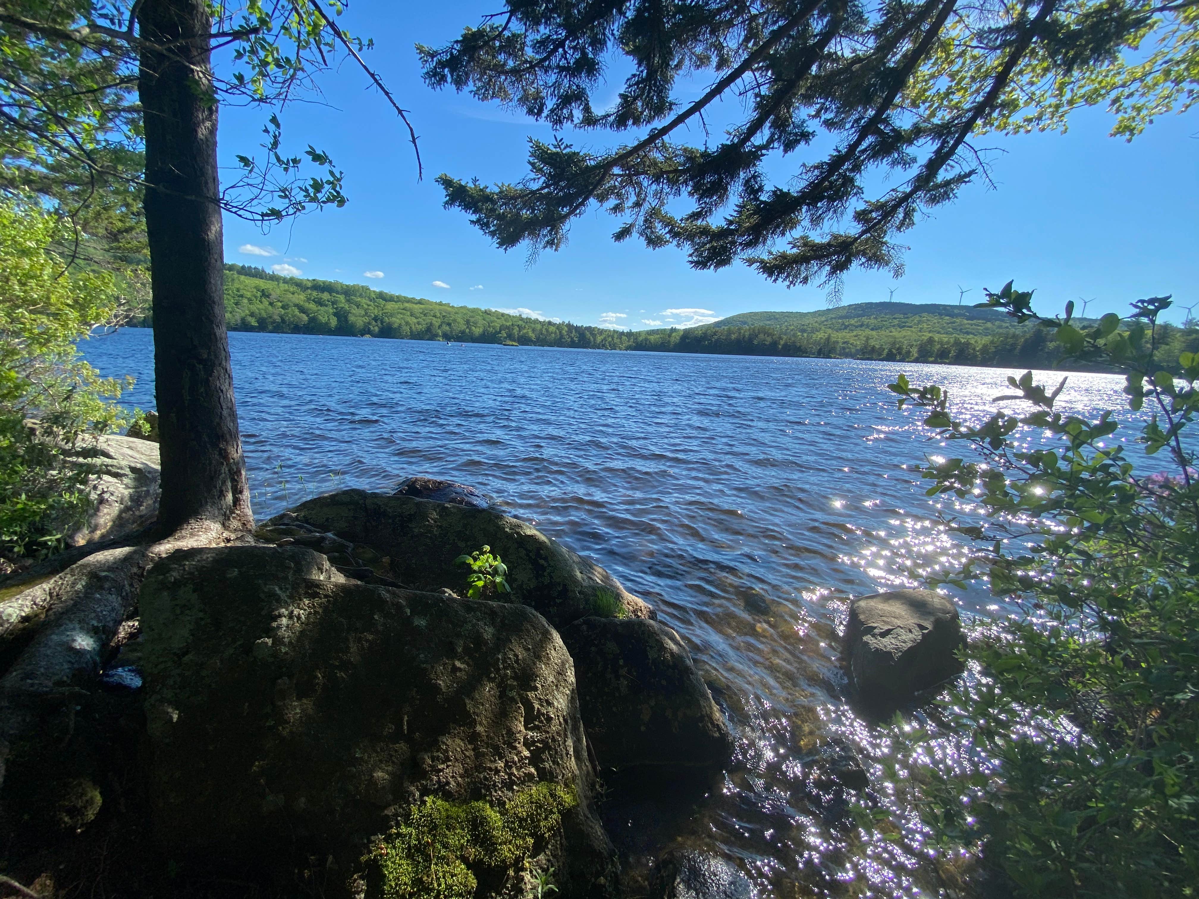 Escape To Serenity: Uncovering The Charms Of Pillsbury State Park, NH