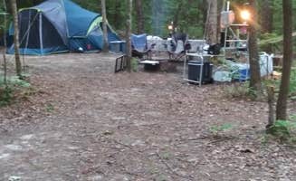 Crystal V.'s photo at Sheltowee Trace Adventure Resort in Kentucky
