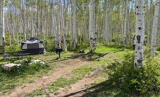 Camping near Geyser Pass Yurt: Masons Draw Campground, Castle Valley, Utah