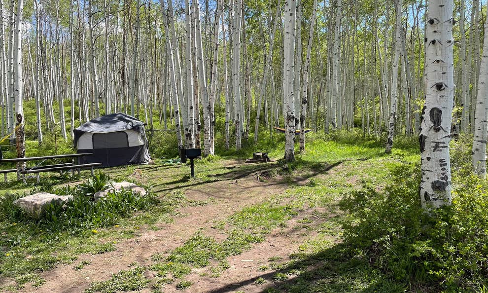 Warner Lake Camping The Dyrt