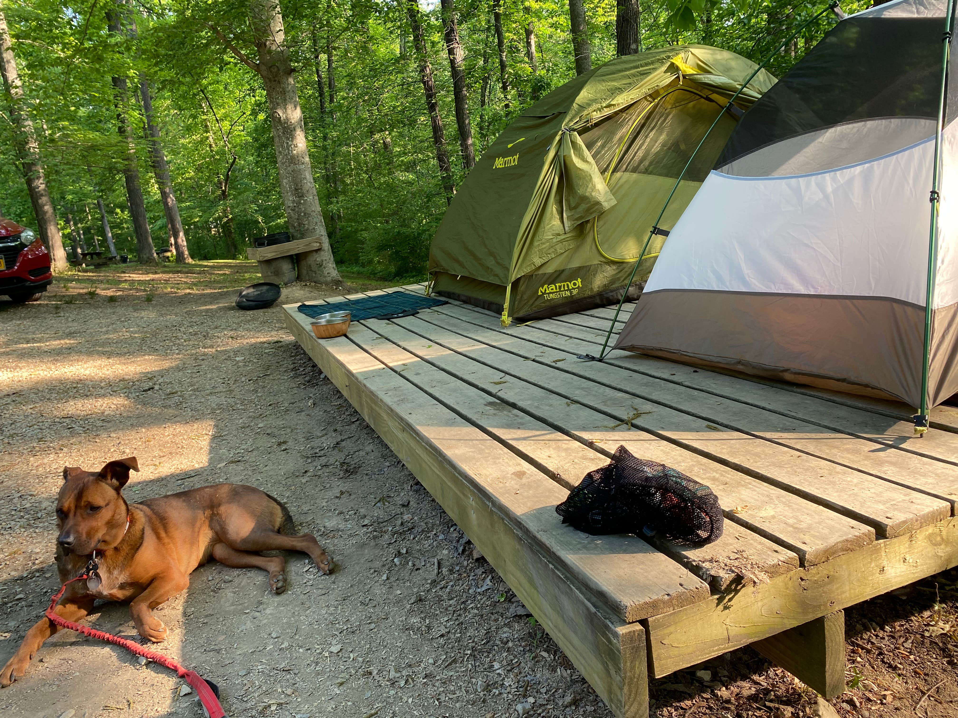 Lena L.'s photo of camping with pets at Lago Linda Hideaway near Slade, KY