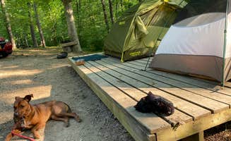 Lena L.'s photo at Lago Linda Hideaway near Berea, KY