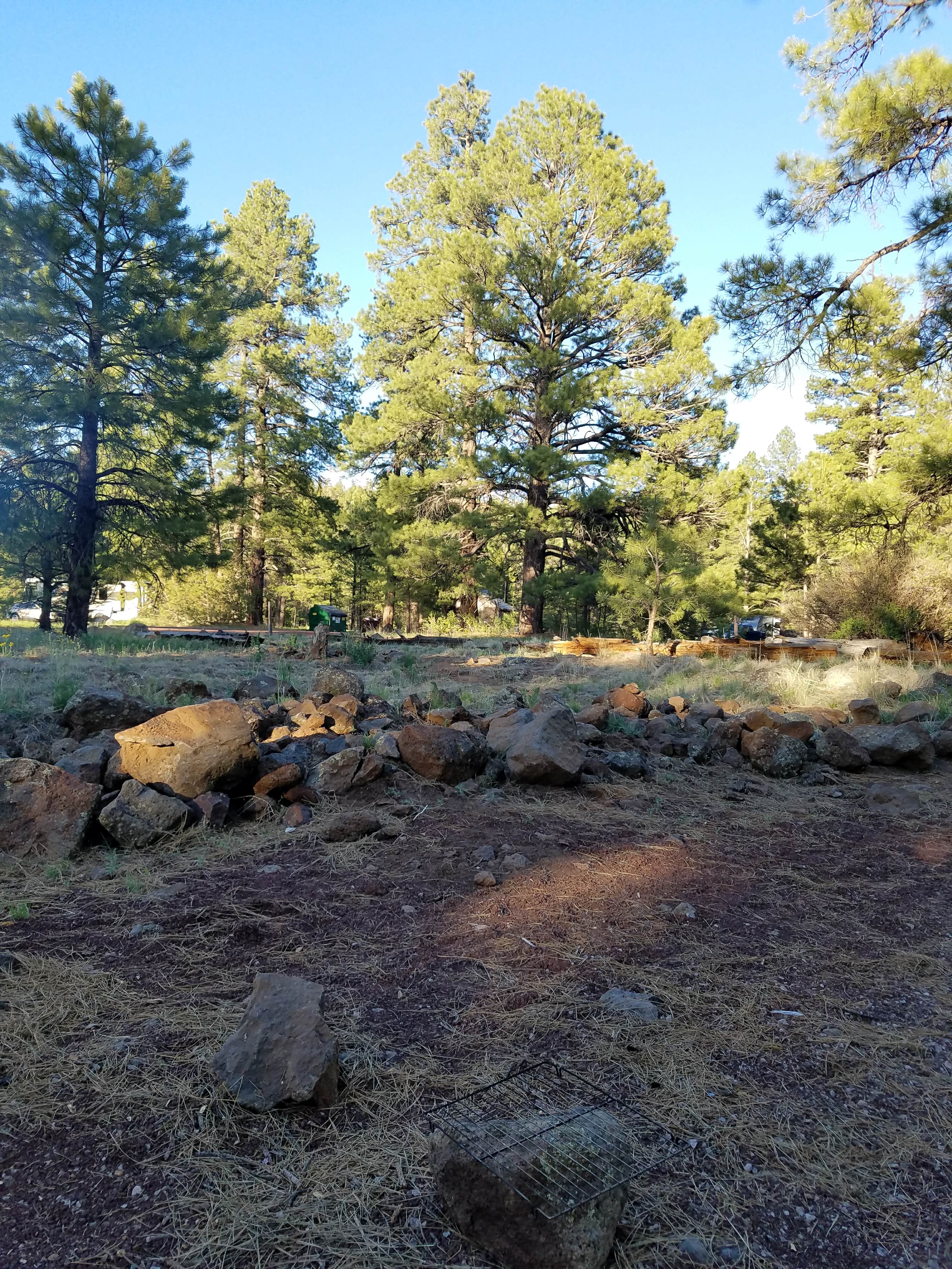 Camper submitted image from Canyon Vista Campground - 3