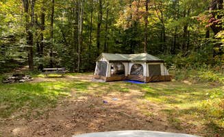 Amy A.'s photo at Mt. Greylock Campsite Park near West Stockbridge, MA