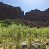 Review photo of Upper Big Bend Campground by jill M., June 5, 2018