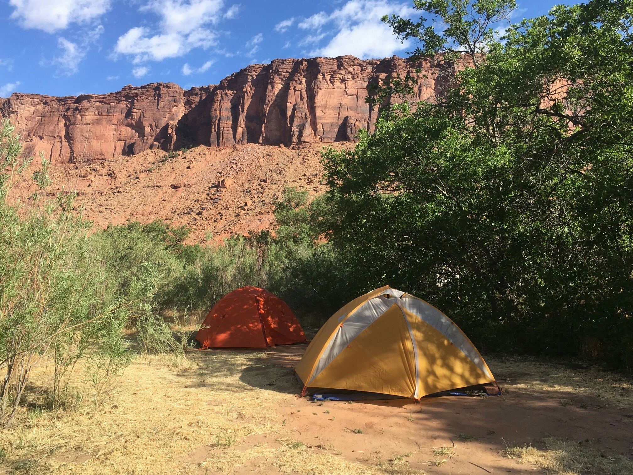 Camper submitted image from Upper Big Bend Campground - 4