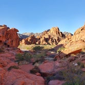 Review photo of Atlatl Rock Campground — Valley of Fire State Park by Cindy E., May 29, 2021