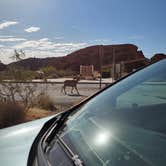 Review photo of Atlatl Rock Campground — Valley of Fire State Park by Cindy E., May 29, 2021