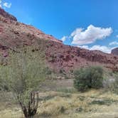 Review photo of Upper Big Bend Campground by jill M., June 5, 2018