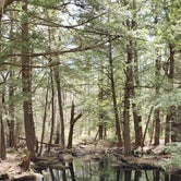 Review photo of Bear Brook State Park Campground by Melissa B., May 29, 2021