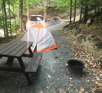 Camper-submitted photo from Ricker Pond State Park Campground