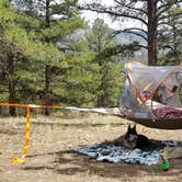 Review photo of Dispersed Camp off Tarryall by Hayley K., May 29, 2021