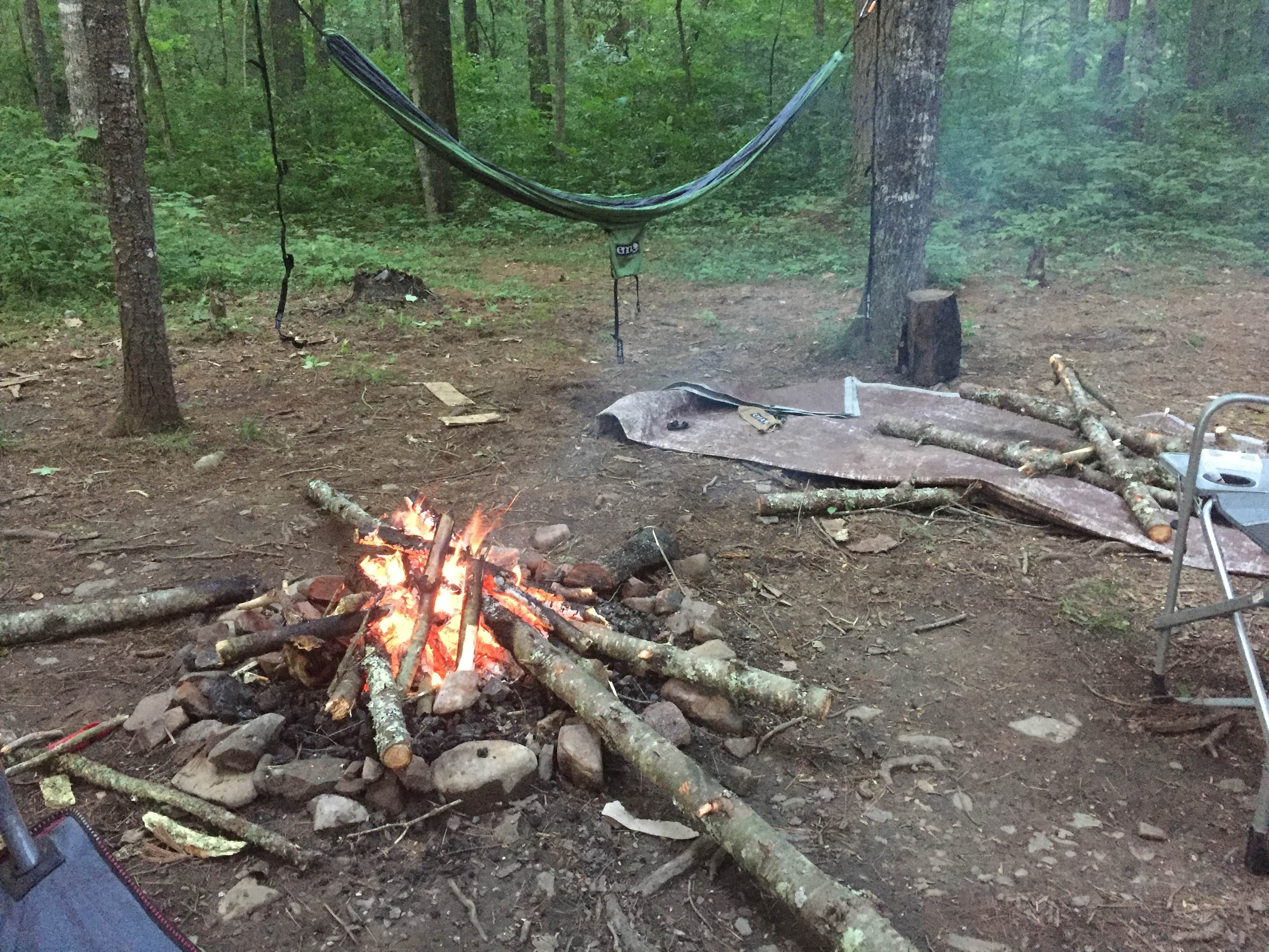 Cara P.'s photo at Braley Pond Dispersed Camping & Day Use Area near George Washington & Jefferson National Forests