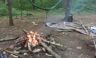 Cara P.'s photo at Braley Pond Dispersed Camping & Day Use Area near George Washington & Jefferson National Forests