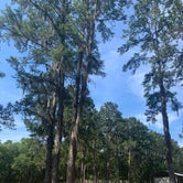 Review photo of Spirit of the Suwannee Music Park & Campground by Stephanie S., May 29, 2021