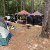 Review photo of Spirit of the Suwannee Music Park & Campground by Stephanie S., May 29, 2021