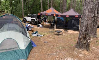 Stephanie S.'s photo at Spirit of the Suwannee Music Park & Campground near White Springs, FL