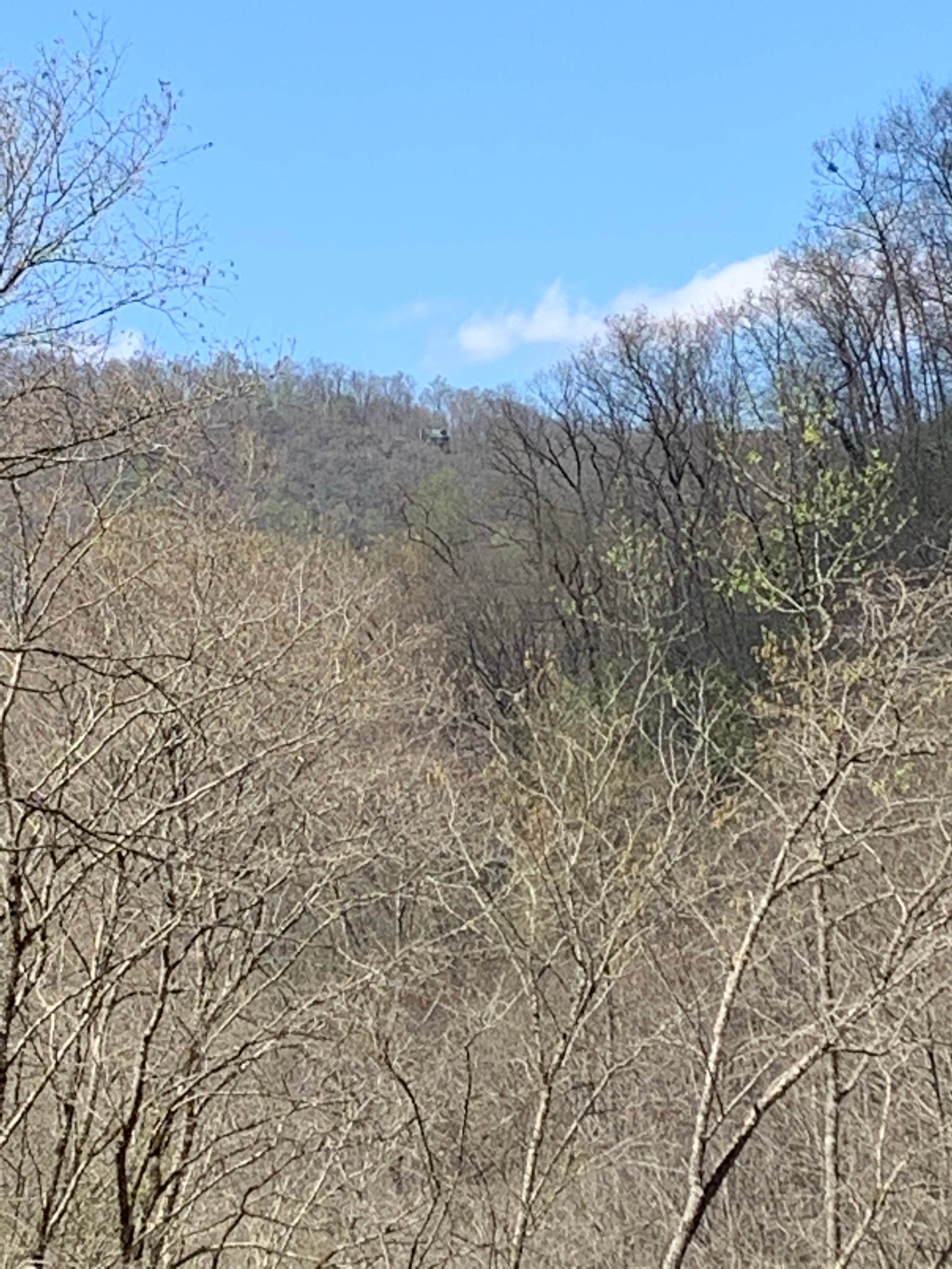 Camper-submitted photo at Ralph J. Andrews Campground near Otto, NC