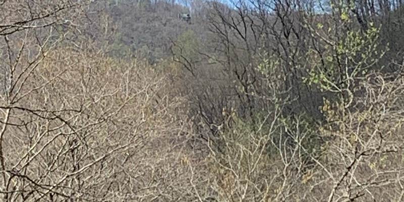 Camper submitted image from Ralph J. Andrews Campground