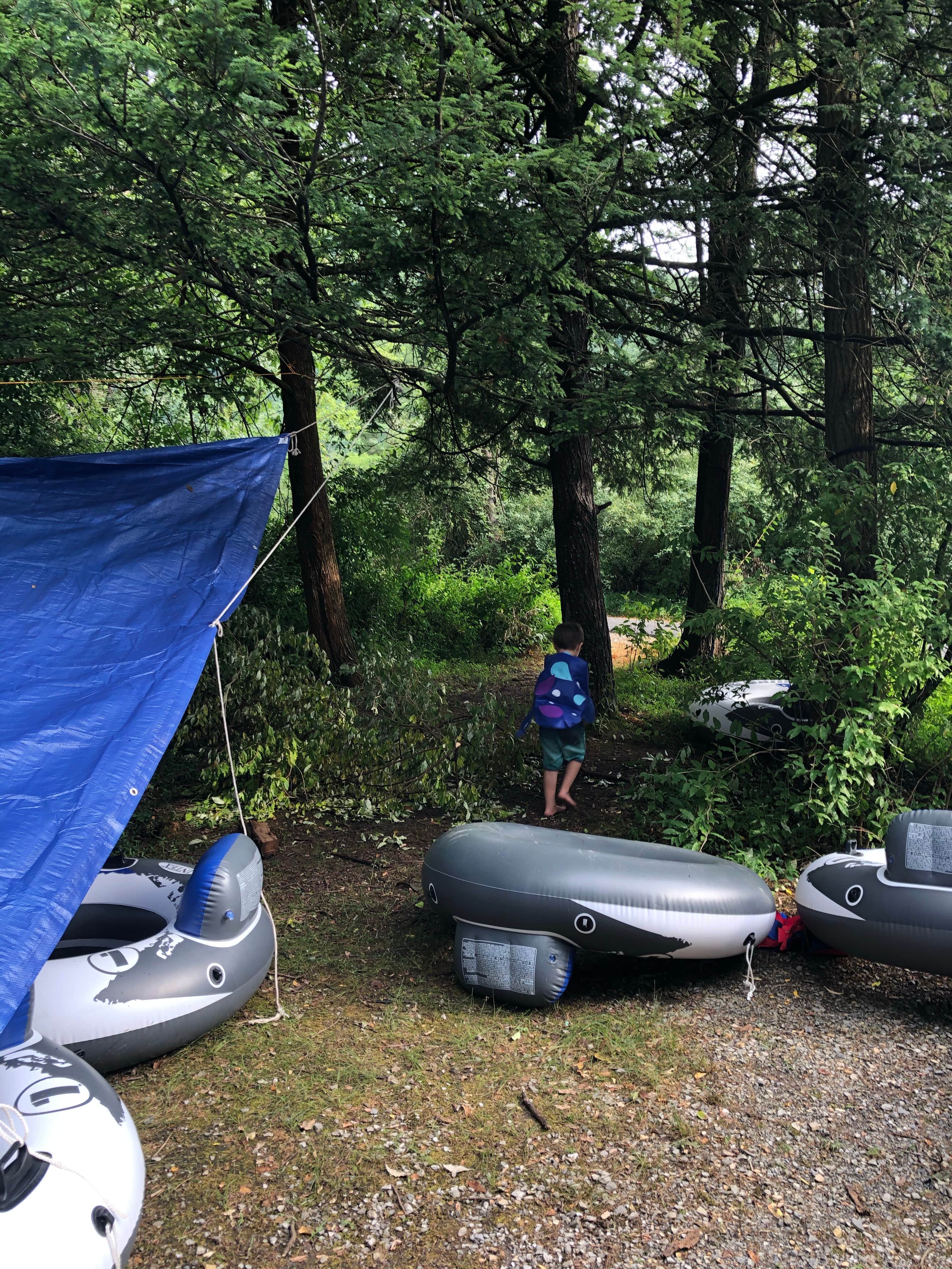 Alisa C.'s photo at Big Bend Campground near Upper Tract, WV
