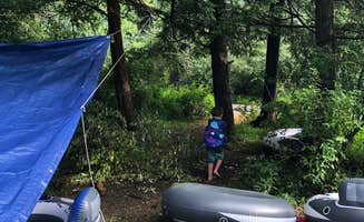 Alisa C.'s photo at Big Bend Campground near Brandywine, WV