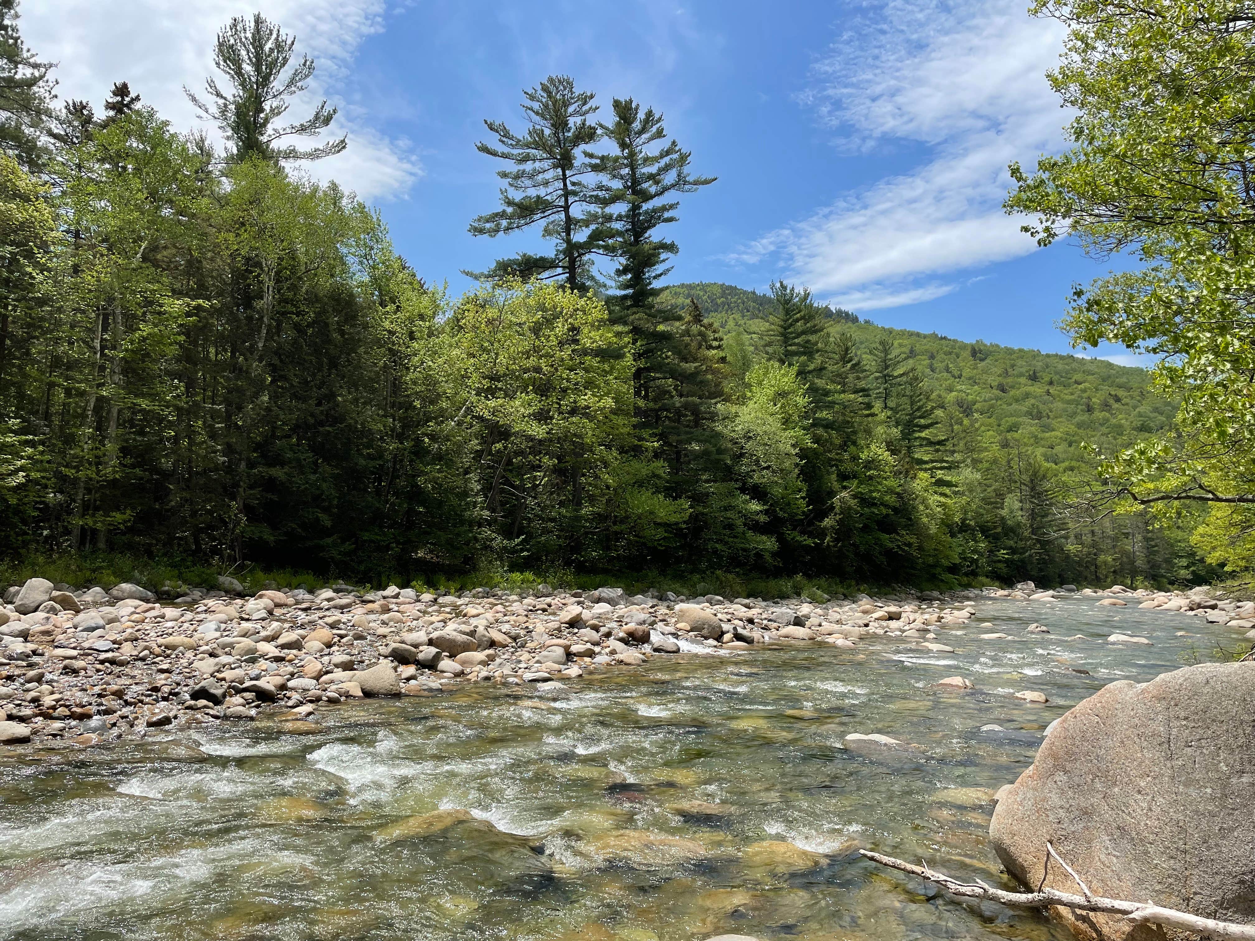 Review of Hancock Campground The Dyrt