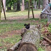 Review photo of Noccalula Falls Park & Campground - TEMPORARILY CLOSED by Blake B., May 29, 2021