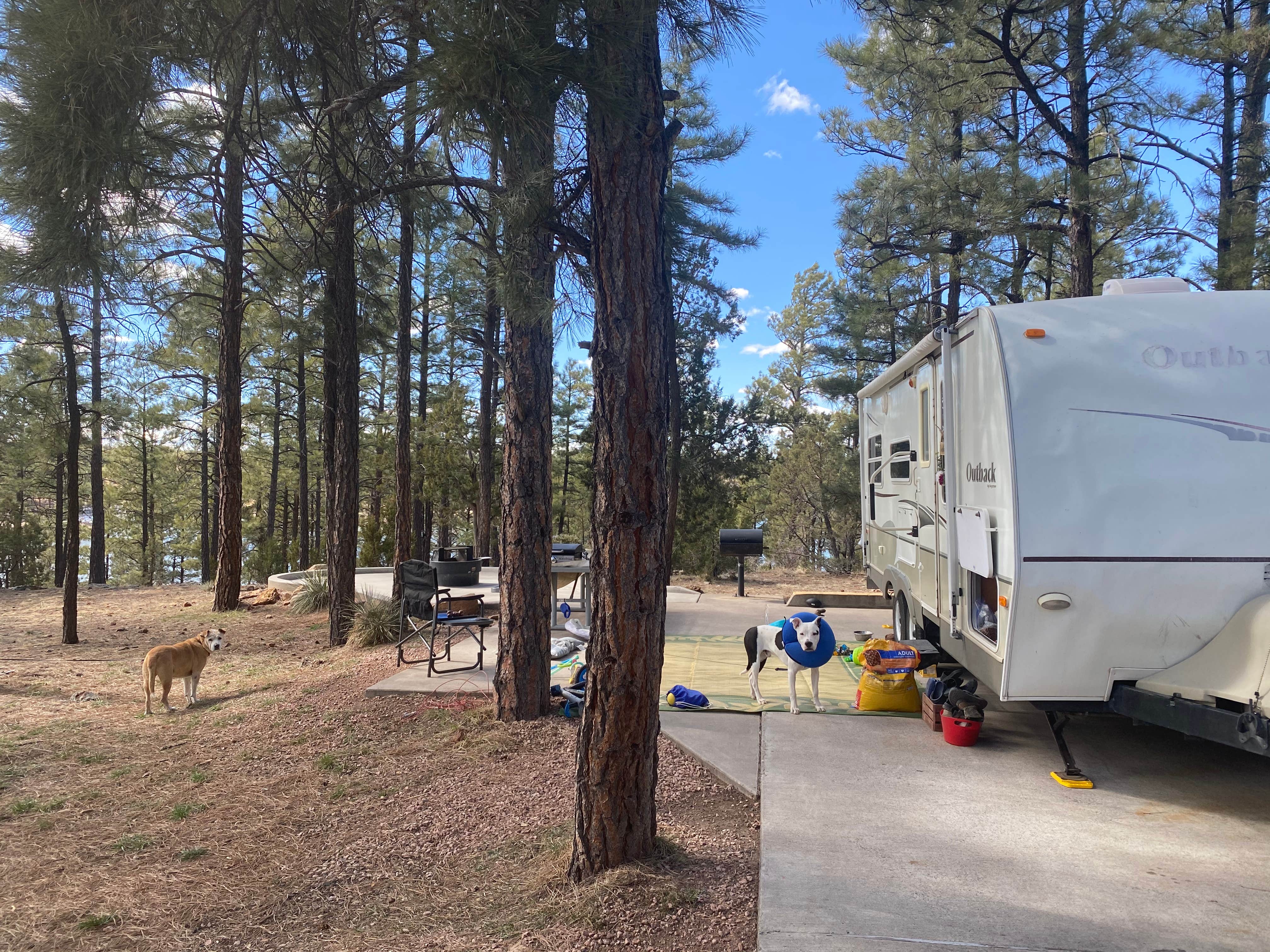 Fool Hollow Lake Recreation Area Campground  The Dyrt