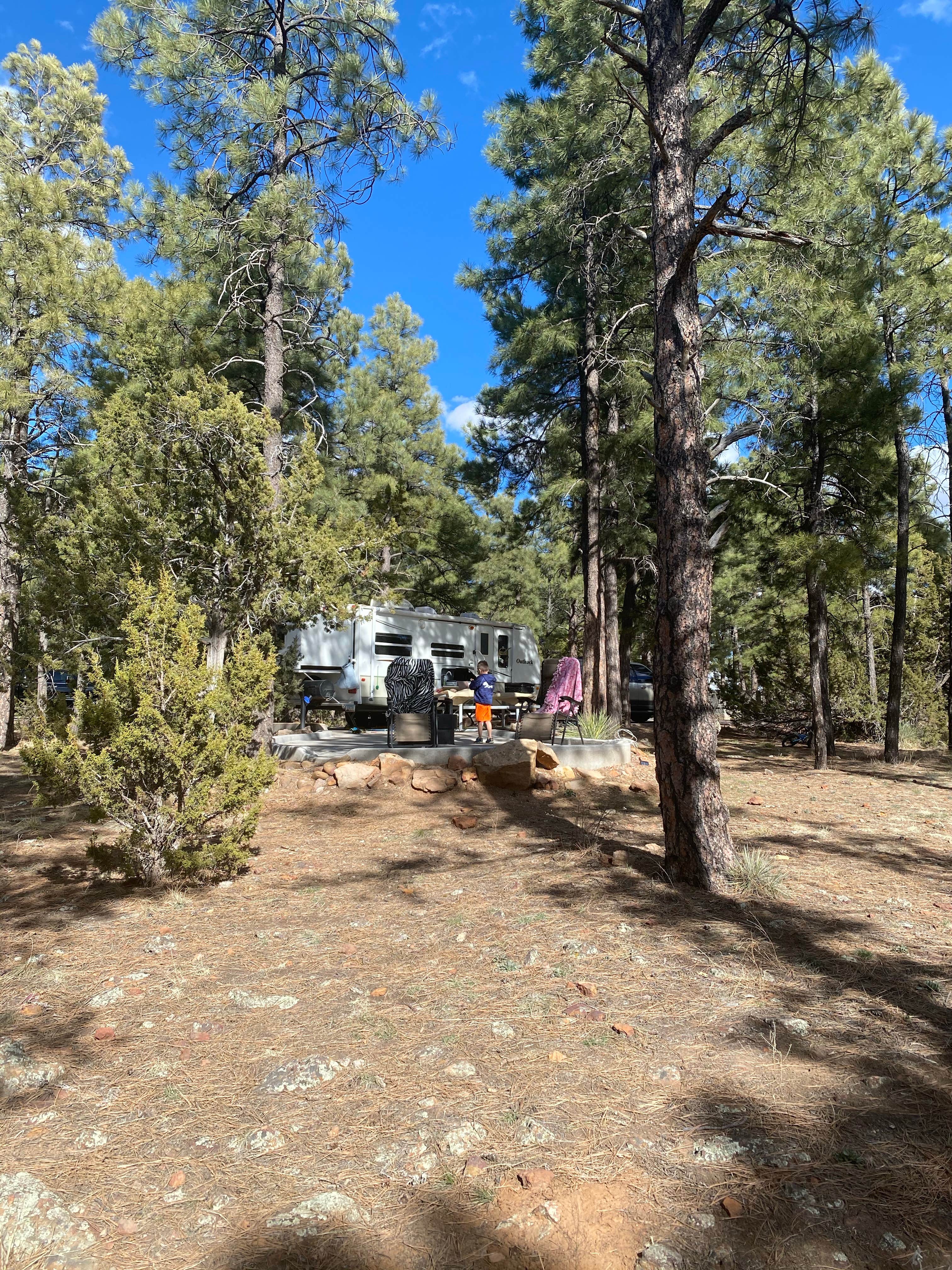 Best standard camping near Arizona The Dyrt