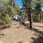 Review photo of Fool Hollow Lake Recreation Area Campground by Melissa S., May 29, 2021