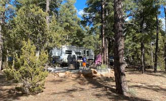 Melissa S.'s photo at Fool Hollow Lake Recreation Area Campground near Show Low, AZ
