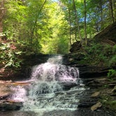 Review photo of Ricketts Glen State Park Campground by MaranzanoFam , May 29, 2021