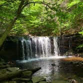 Review photo of Ricketts Glen State Park Campground by MaranzanoFam , May 29, 2021