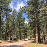 Review photo of Stockade South Campground — Custer State Park by Erin W., May 29, 2021
